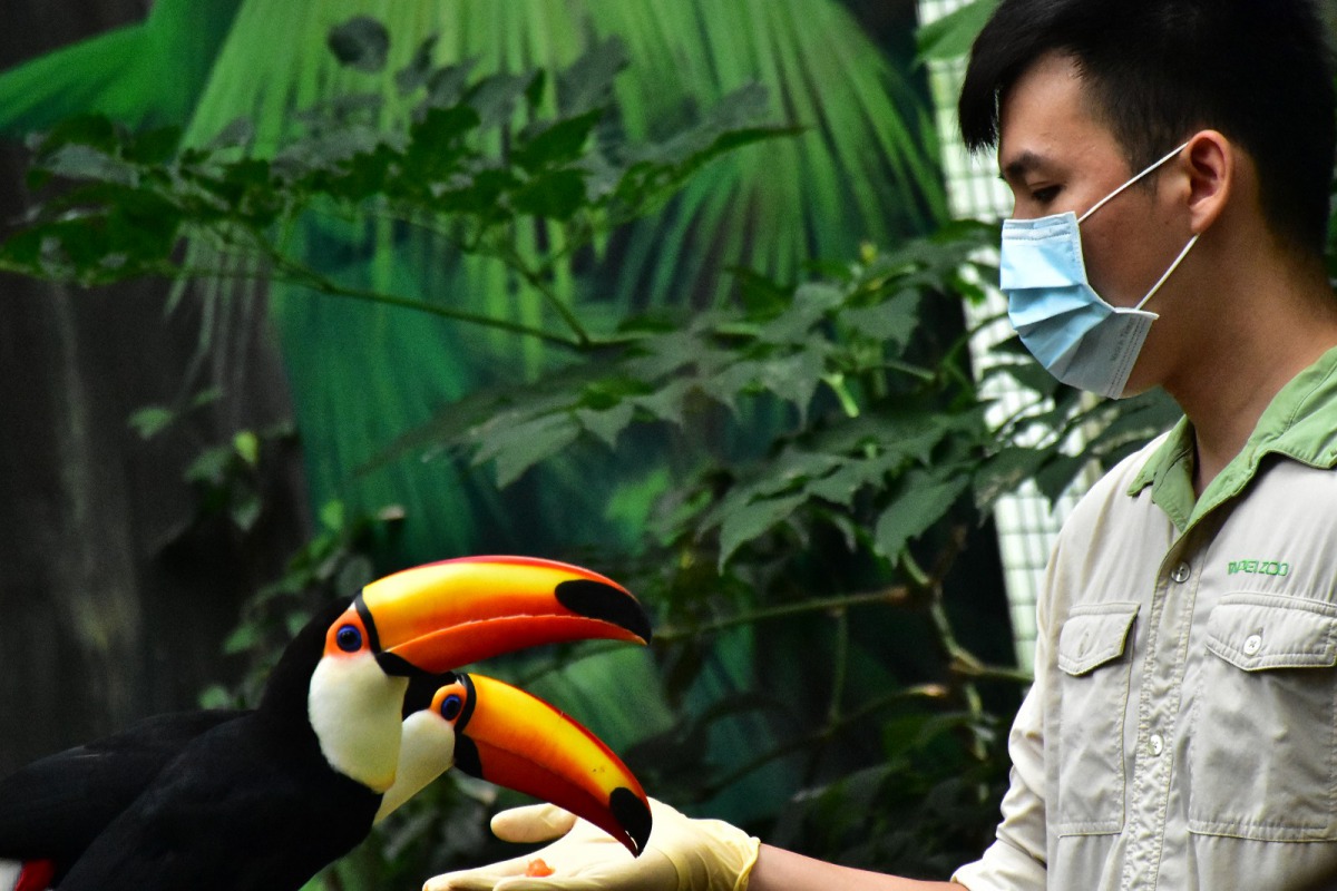 遊客們能在台北市立動物園穿山甲館的動物廚房中,一睹保育員們為動物備餐的過程。台北市立動物園/提供