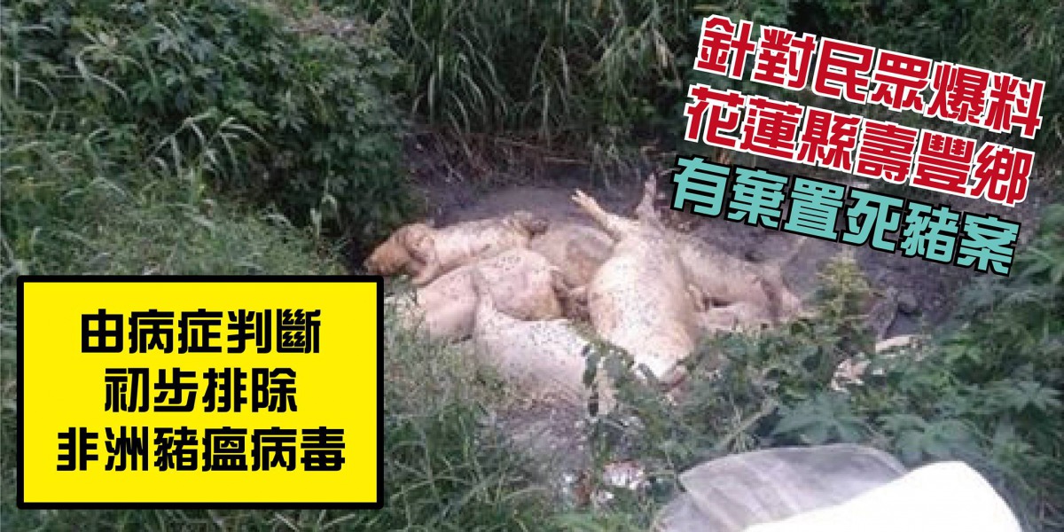 花蓮豬屍事件確定沒有感染非洲豬瘟,農委會呼籲重罰散播謠言者。取自農委會臉書