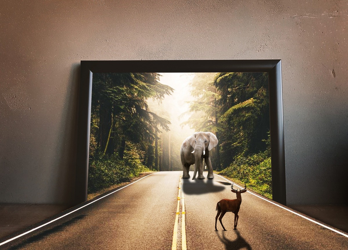 回顧2018台灣動保年度大事。示意圖,取自Pixabay