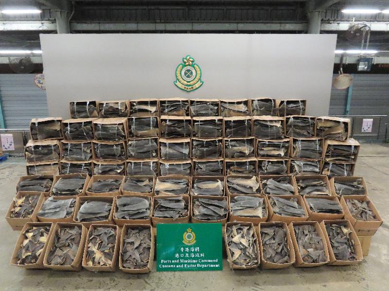 香港海關分別偵破兩宗走私魚翅案件，各約13公噸的受管制物種的乾魚翅被混雜在不受管制的乾魚翅中。圖為4月28日檢獲的懷疑受管制乾魚翅。圖片來源：香港政府新聞公報