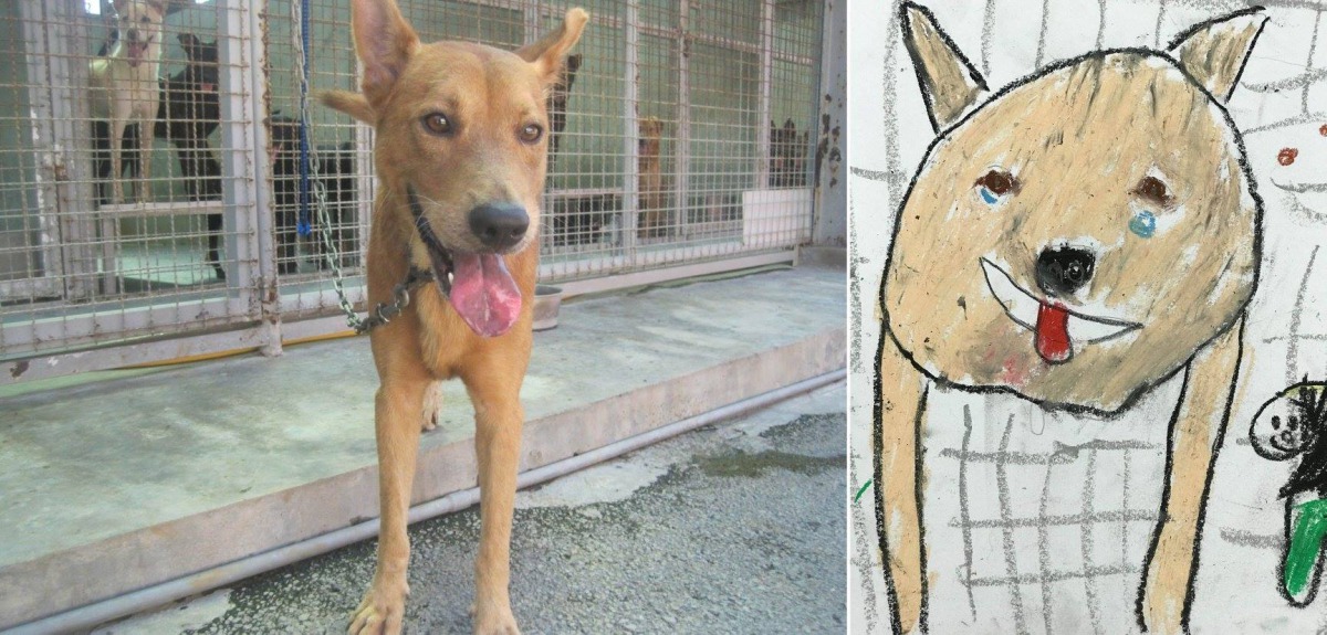 新市國小1年級的阿岑的畫作與留言：「我想把這隻狗取名做小奶油。親愛的小奶油，希望你可以不要被綁住，在草地上奔跑。」淡水動物之家/提供