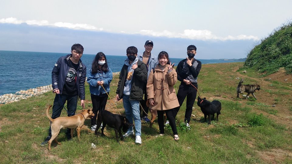 淡江大學的同學們揪團到淡水動物之家當志工。新北市動保處/提供