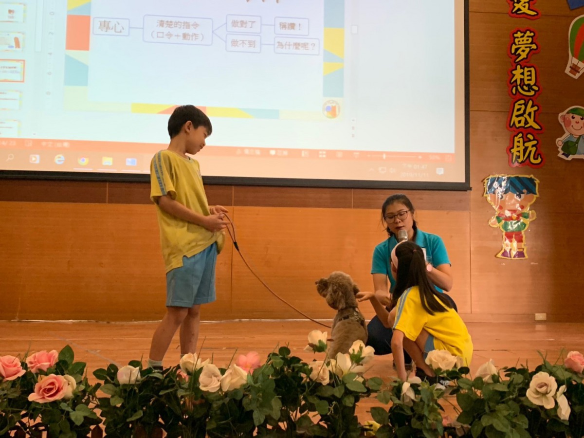 小講師為其它同學們示範如何引導療癒犬完成一系列特殊指令。台中市動保處/提供
