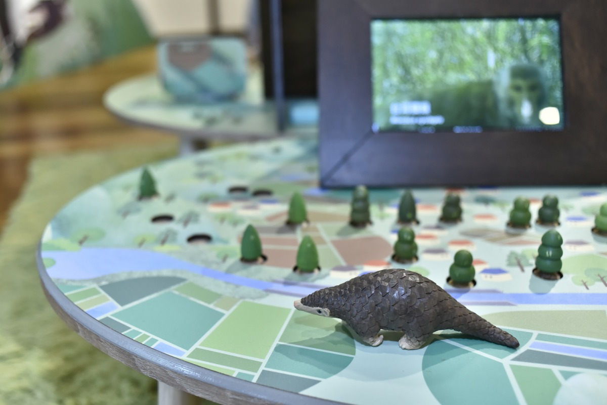 林務局在市定古蹟保育小站推出「漫遊山林說野趣─生態保育探索展」,在滿溢檜木香的日式老宿舍中,帶著觀展民眾走入先民的傳說故事。林務局/提供