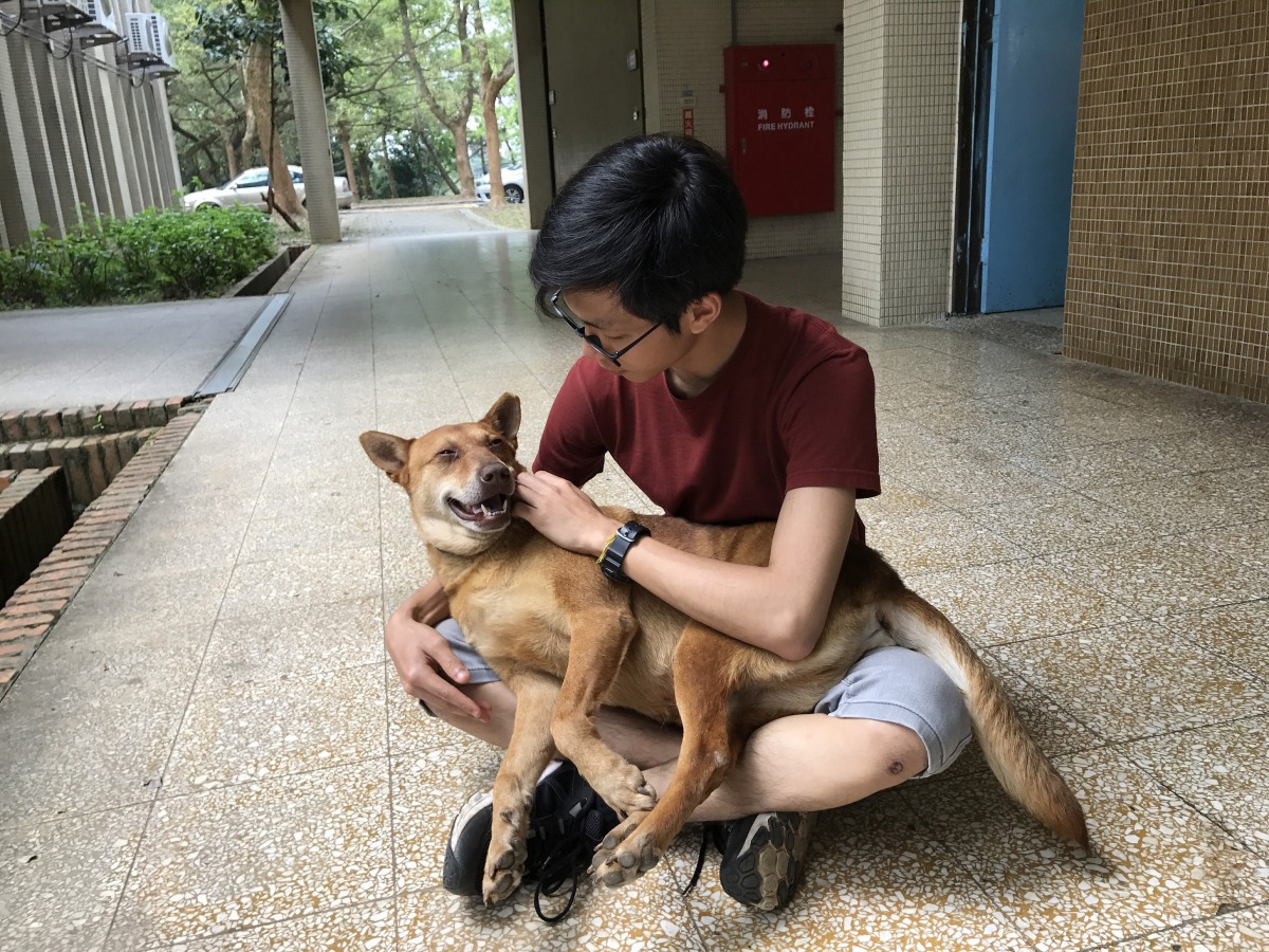 同學們自掏腰包餵食狗狗，替狗狗結紮、清潔、打疫苗，讓浪狗成為校犬，或是將狗狗送養至好人家。吳同學/提供
