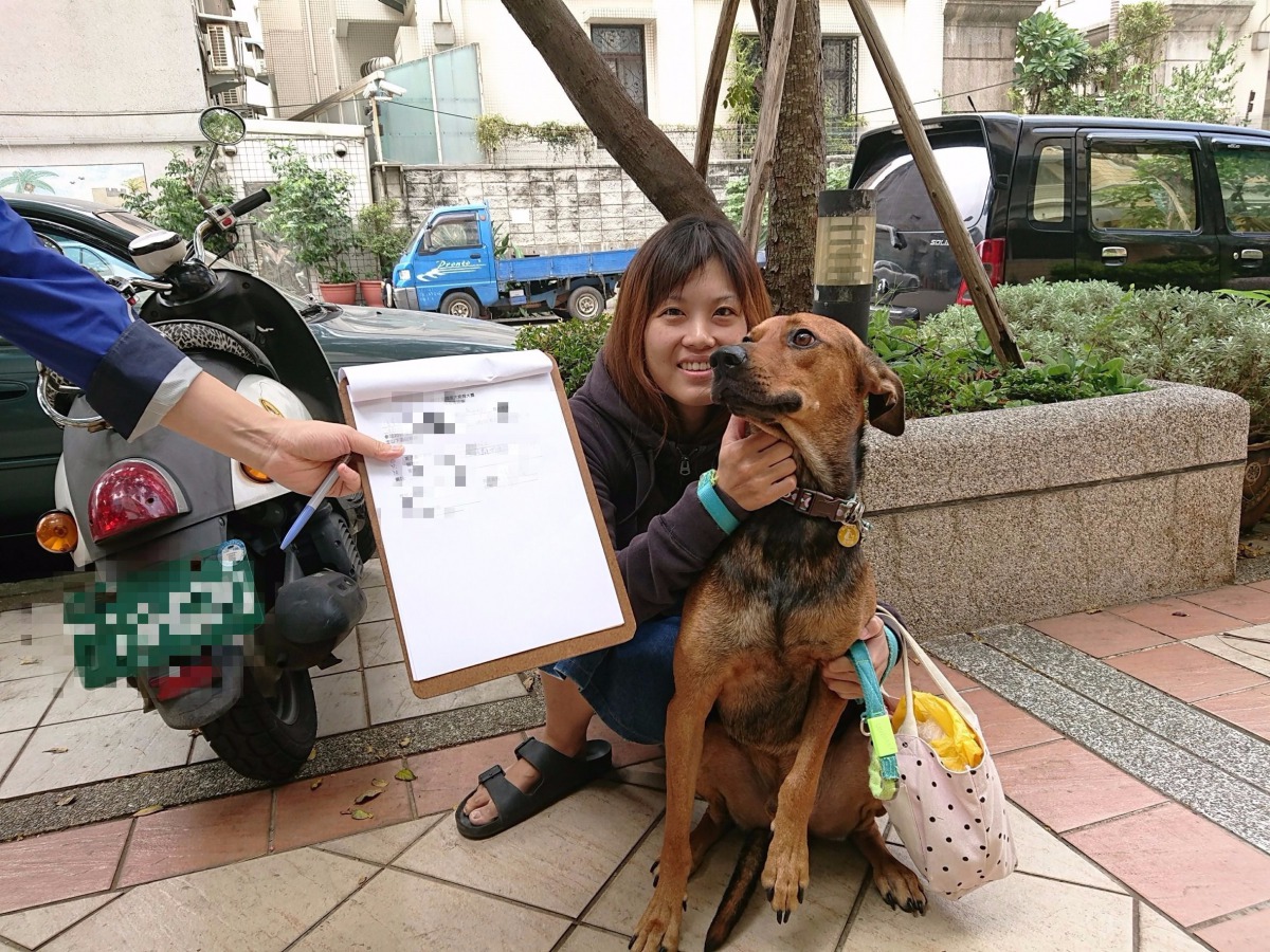 參賽犬隻不僅必須接受絕育，也要確實植入晶片。示意照，中華民國保護動物協會/提供