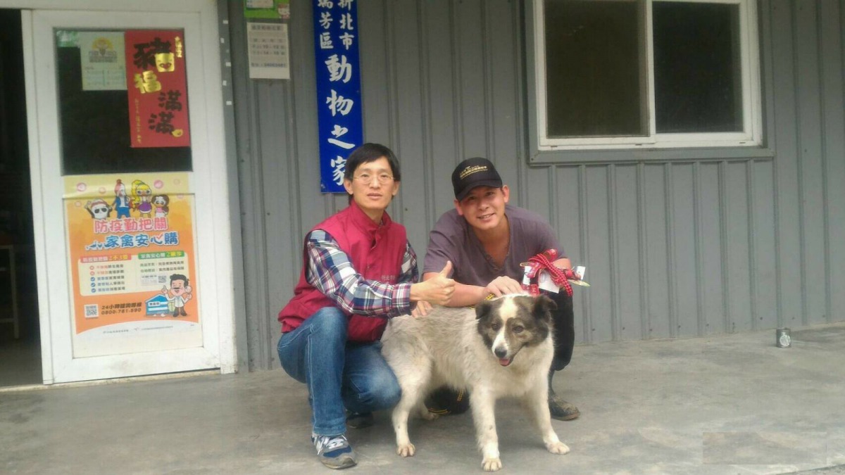 離別前，新主人周聖強、「長毛」（沙沙）與駐區獸醫王嚴合影。新北市動保處/提供