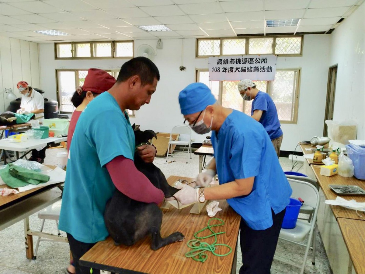 農委會籲飼主善盡責任，依法辦理寵物登記、負起寵物絕育及繁殖管理責任，更勿放養及疏縱犬隻。農委會/提供