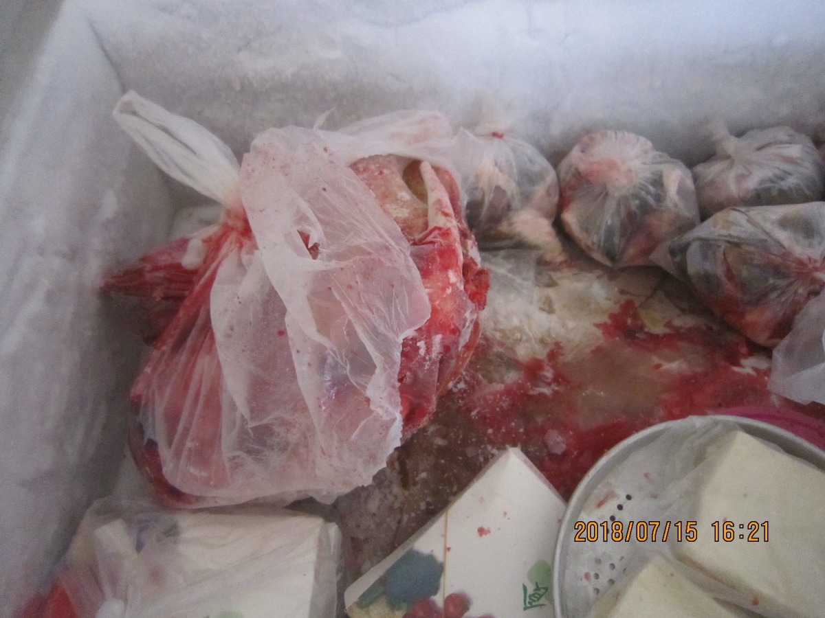 移似狗肉的肉塊。彰化防疫所/提供