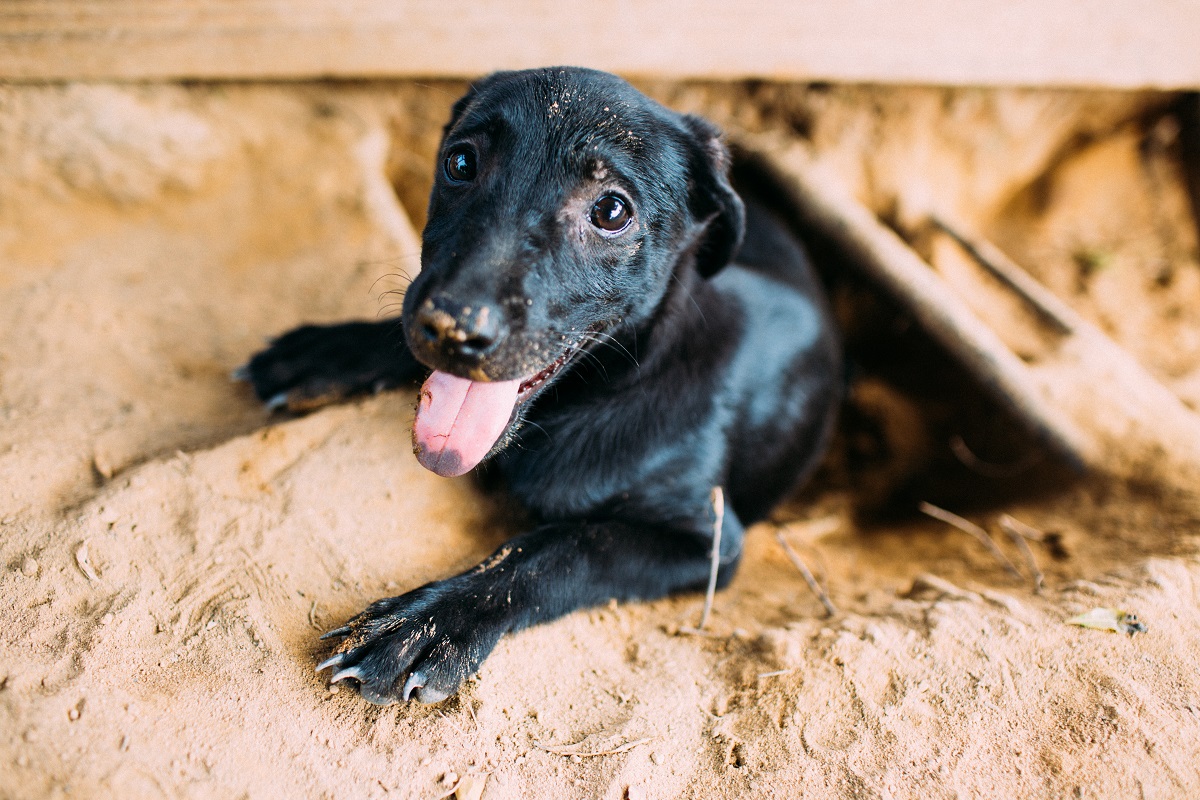 「我已經準備好愛人與被愛了。」Karren Kao/攝