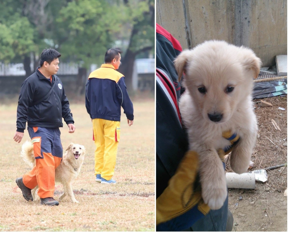 左為「雪」帥氣自信的照片,右為「雪」兒時的萌樣。取自活動網站