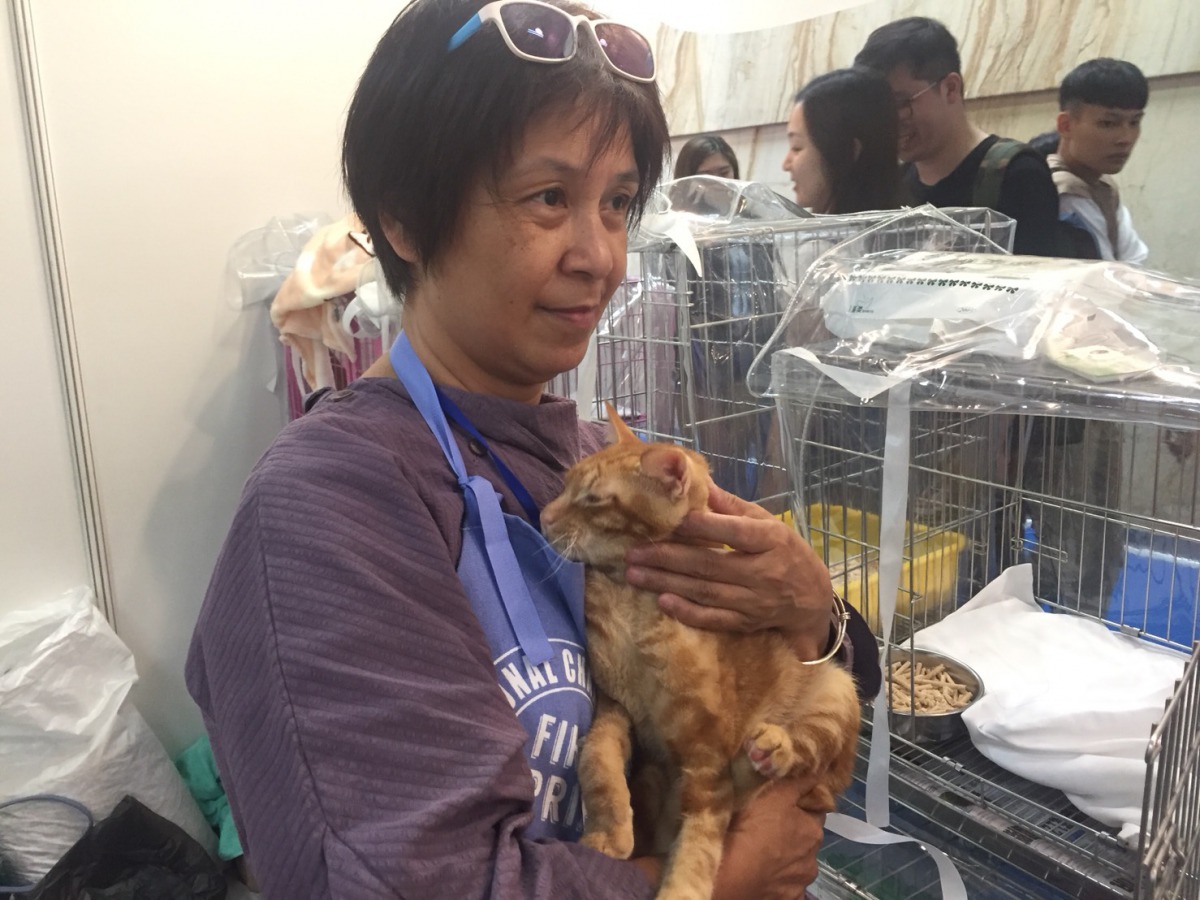 動物之家不乏穩定性高又親人撒嬌的毛孩。新北市動保處/提供