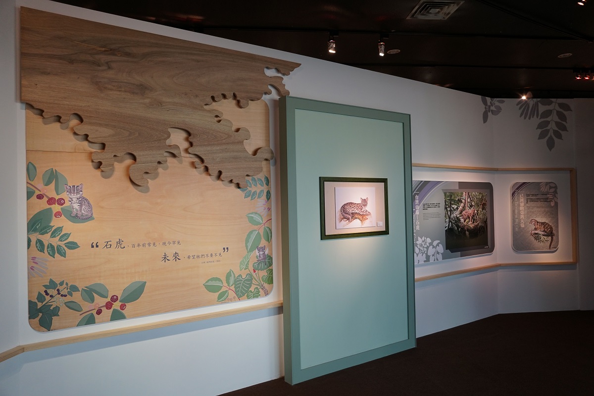 《石虎的美麗家園》特展多採用動物生態插畫，以生動的手繪動物或是數位重製的方式展出。科博館/提供