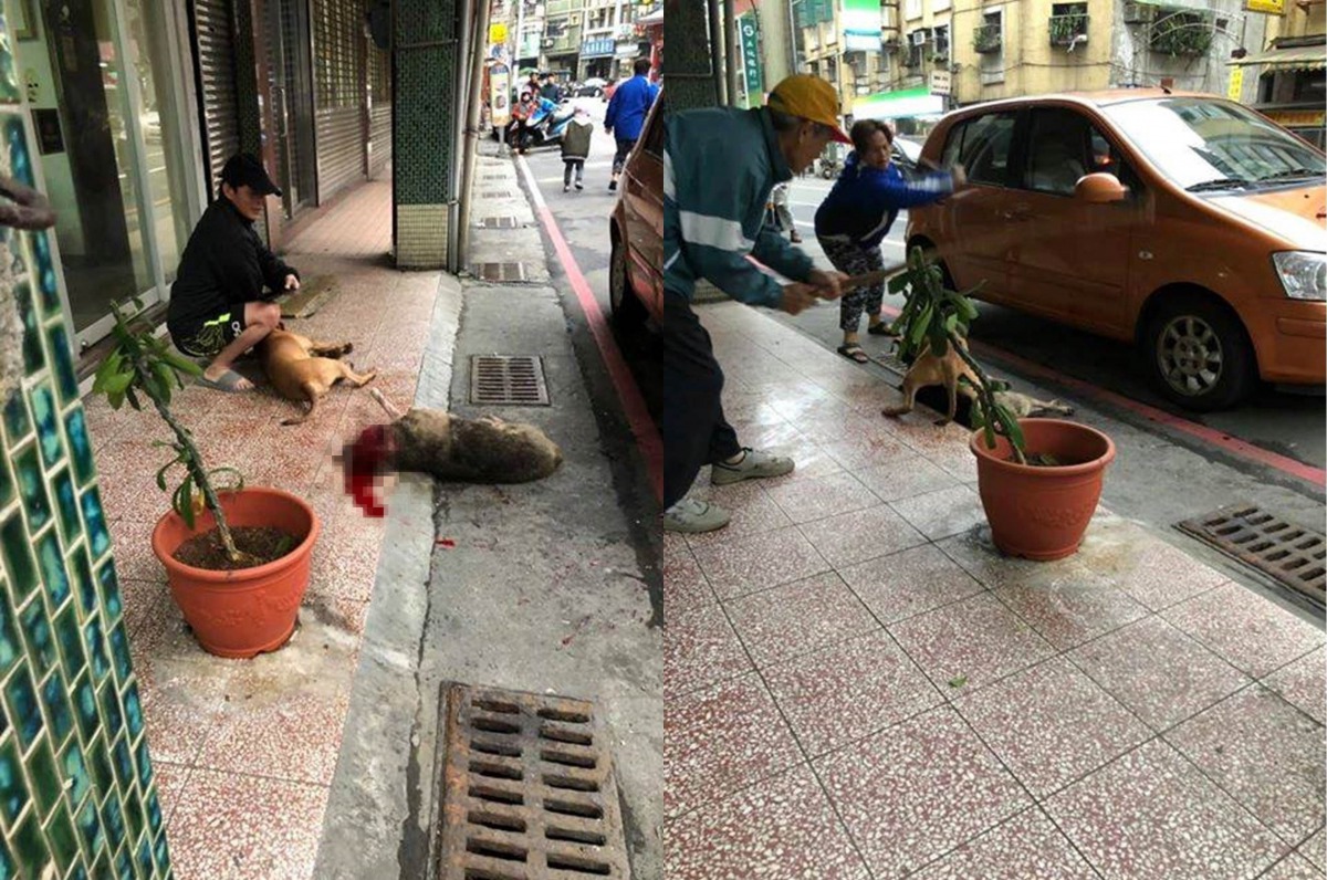 眾人合力驅趕比特犬,比特犬仍不鬆口(右圖);被攻擊的浪犬奄奄一息,血流滿地(左圖)。黑帽男子為飼主。粉專「基隆人踹共」/提供