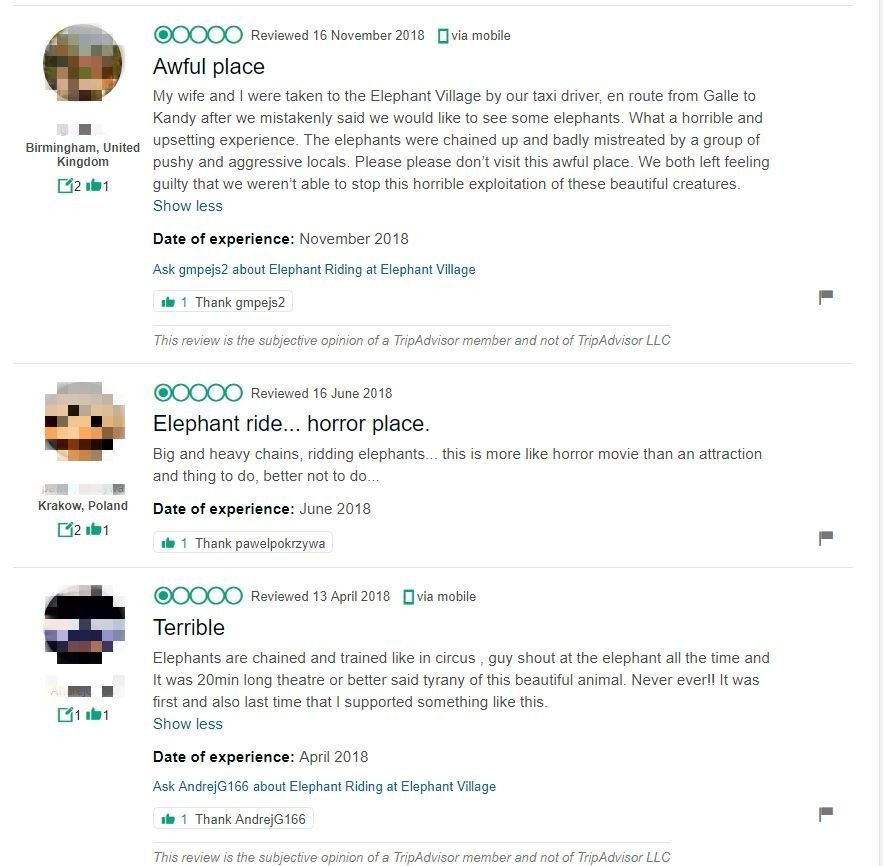 旅遊評論網站TripAdvisor也有關於大象村的心得，許多遊客認為大象受到殘忍的剝削。翻攝自TripAdvisor