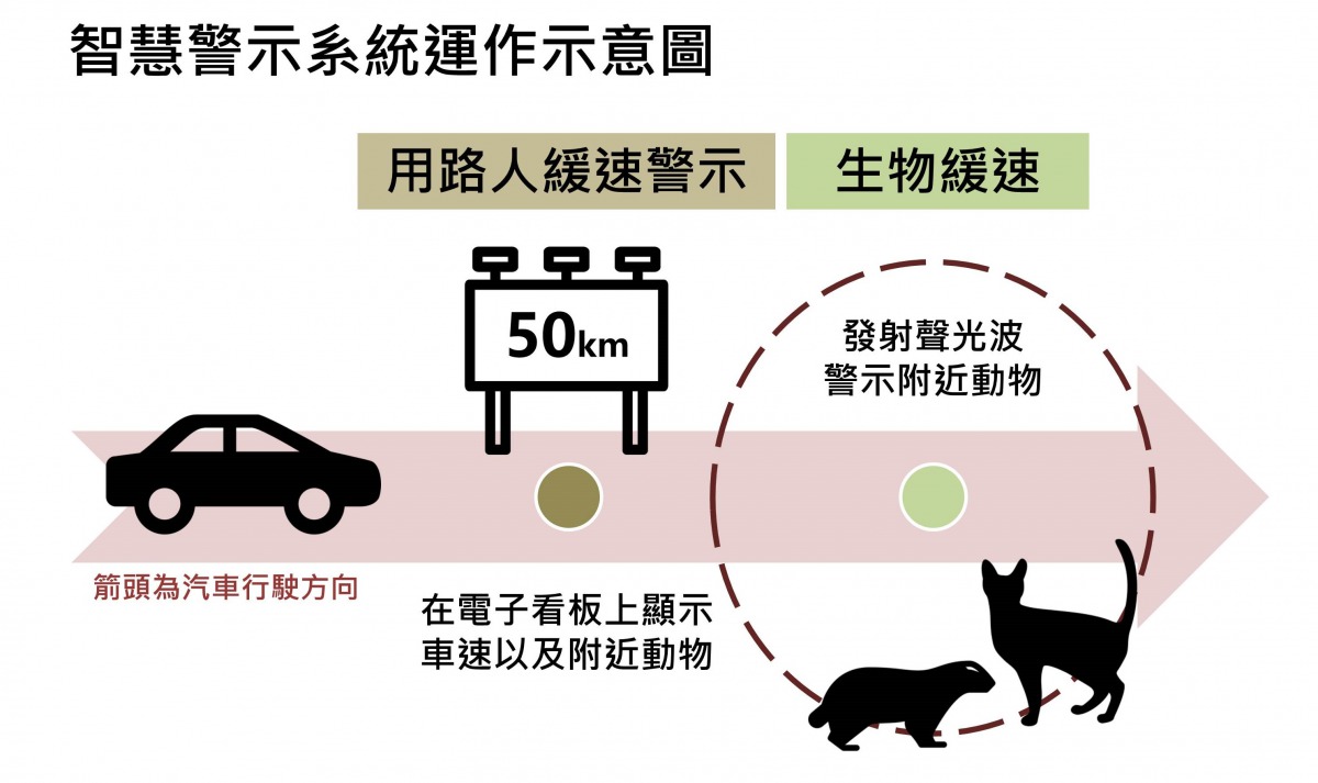 智慧警示系統具有兩大功能，一是警示用路人的「用路人緩速警示」，第二則是警示動物的「生物緩速」。陳璽安/製圖