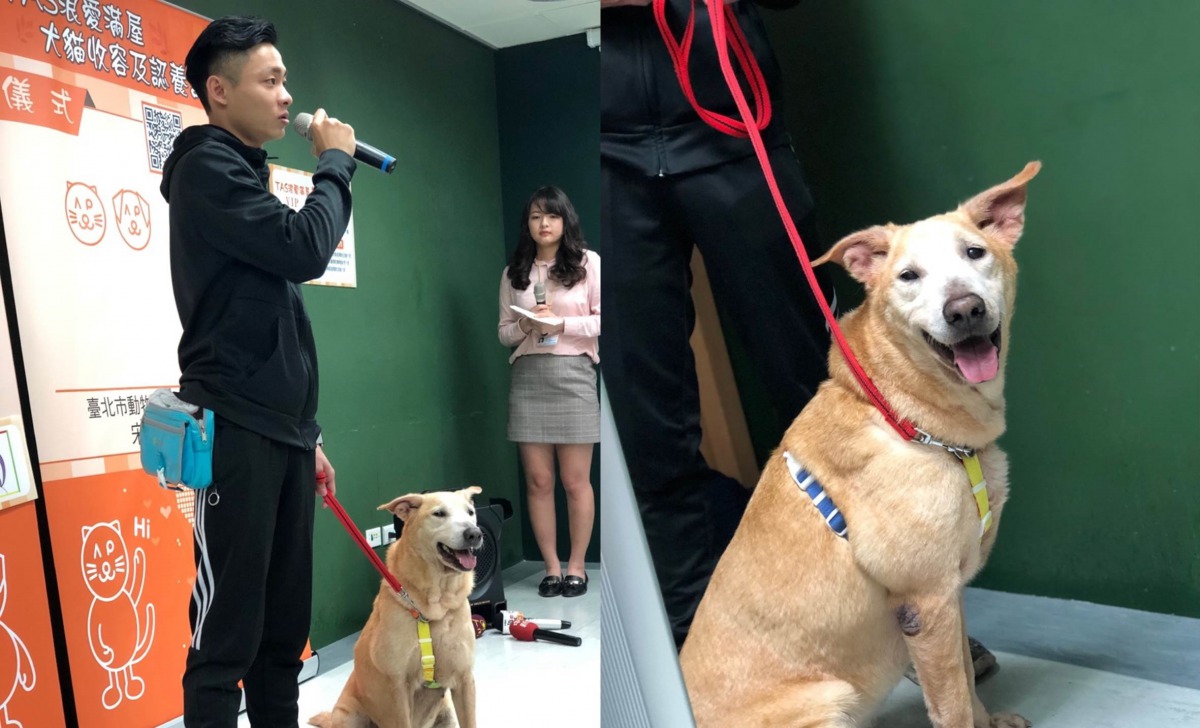 台北市動物之家的狗狗明星MoMo也在現場與大家相見歡，展現動物之家收容犬的受訓成果。台北市動保處/提供
