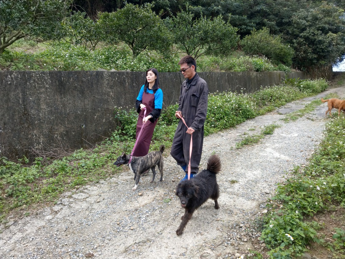 夏如芝也親自帶狗狗散步，幫助狗狗社會化。中華民國保護動物協會/提供