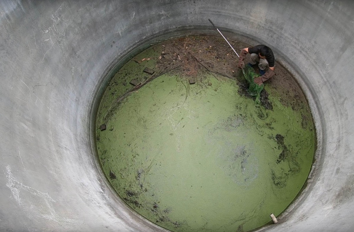 林育秀建議,蓄水池等人工建物除了加蓋或加置細網避免動物誤入,也可加裝逃生梯,讓誤入其中的動物還有機會逃出來。翻攝自林管處影片