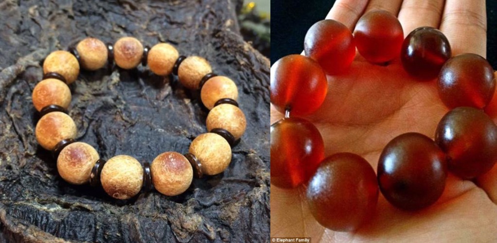 有些象皮經過加工處理製成珠寶來販售。資料照，取自Elephant Family臉書