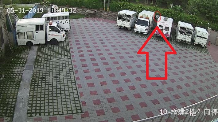 民眾在動物之家人員下班後，翻牆進入園區內，將狗棄養於園區。台南市動保處/提供