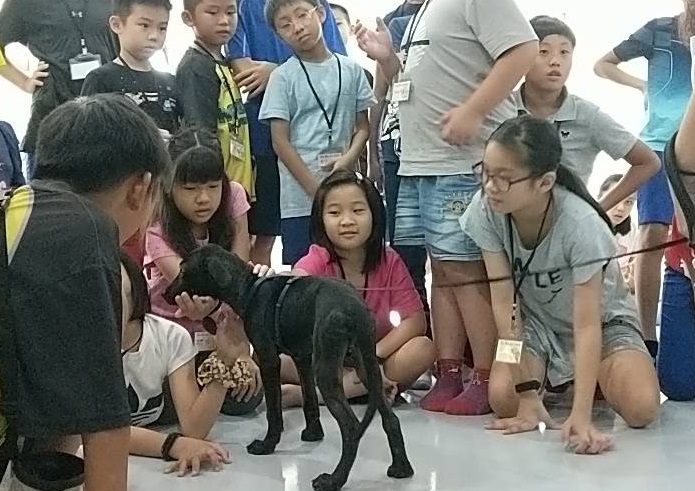 高雄市動保處長葉坤松指出，藉由本次活動，不僅加深小朋友對動物的認識，也讓園區的毛孩能夠體驗有家人的感覺。高雄市動保處/提供
