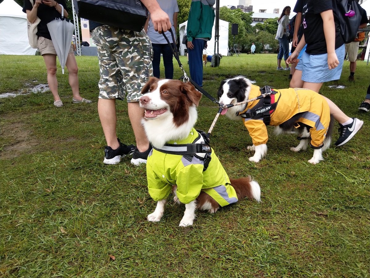 儘管天候不佳，民眾熱情不減。陳璽安/攝
