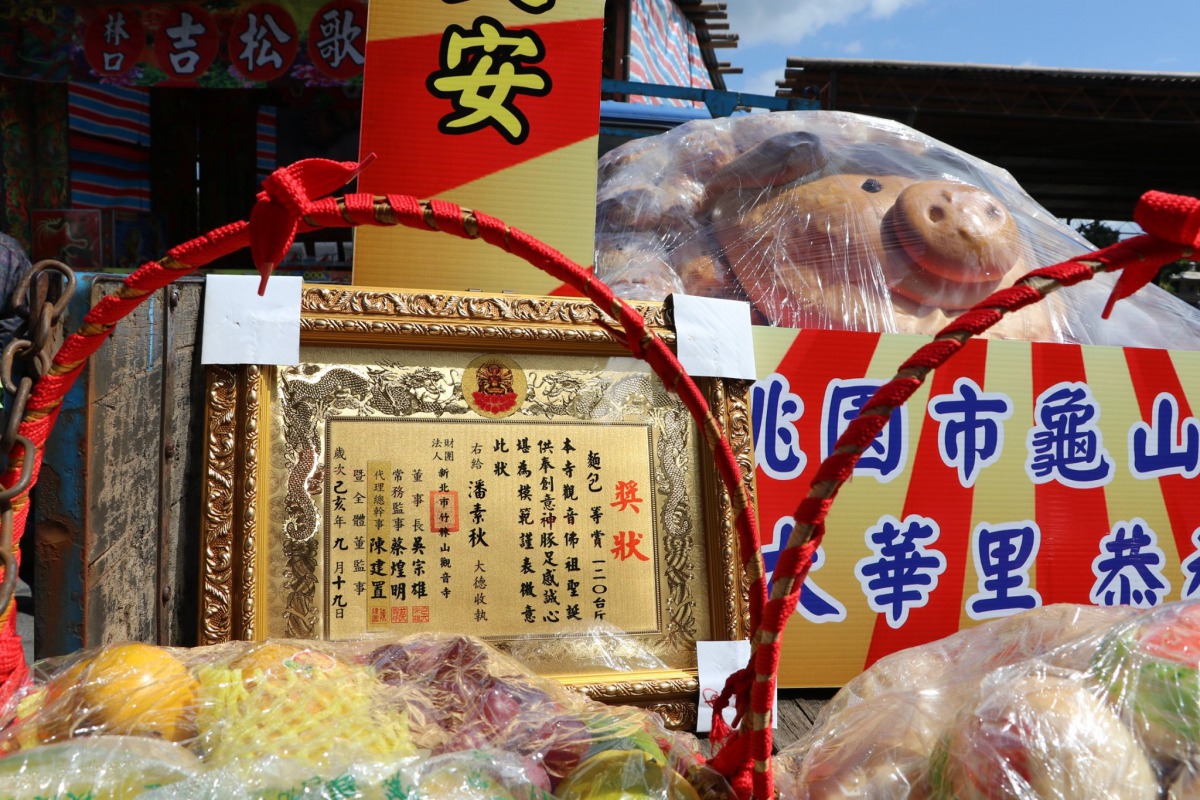 龜山大華里的麵包豬。翻攝自台灣動物社會研究會粉絲專頁