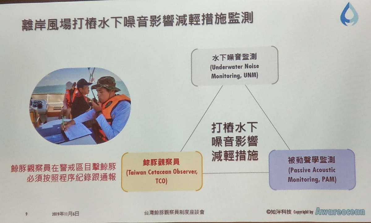 鯨豚觀察員必須與被動聲學監測、水下噪音監測相互配合。陳璽安/翻攝