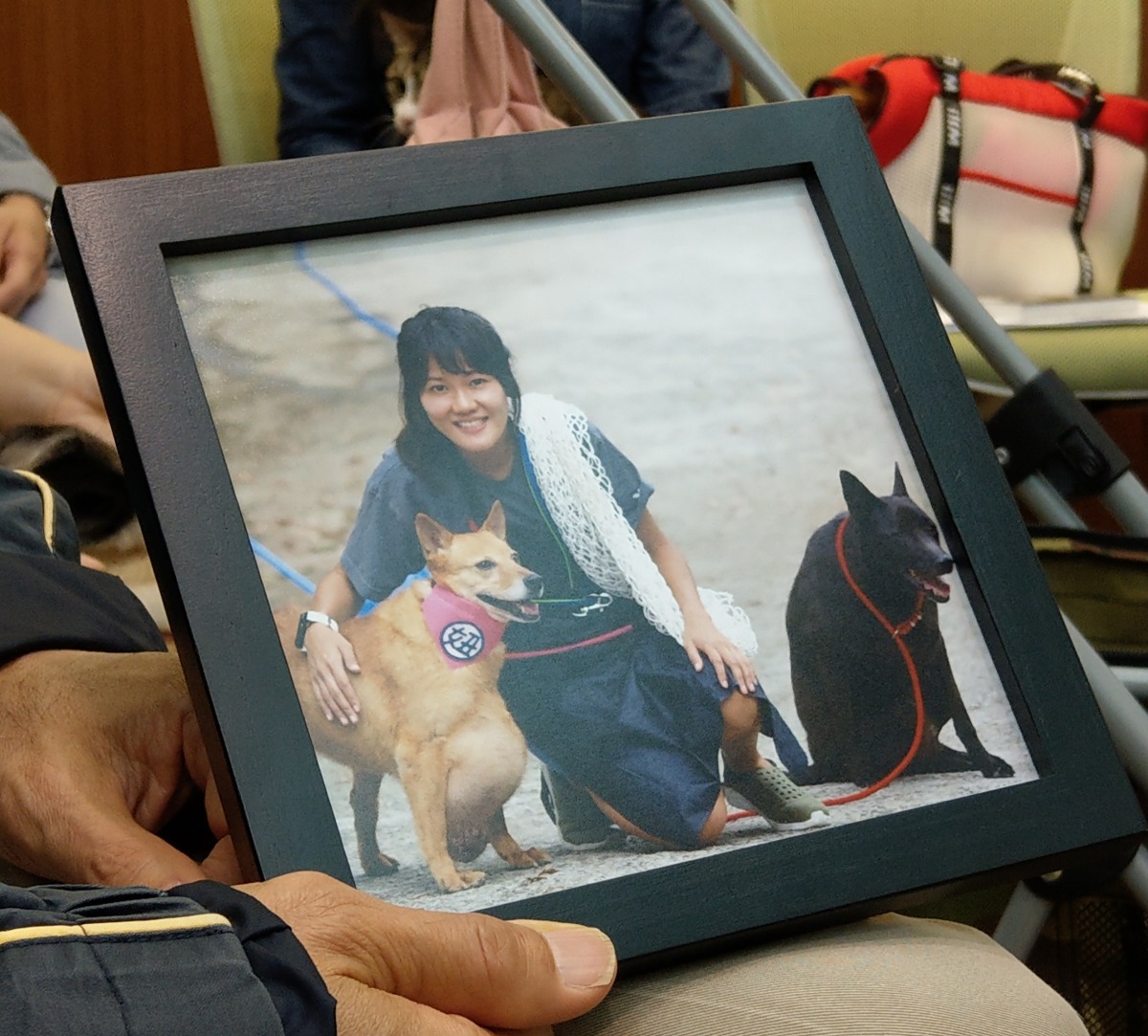 來自五股動物之家的「妞妞」個性討喜又穩定，卻因為腫瘤而乏人問津。陳璽安/攝