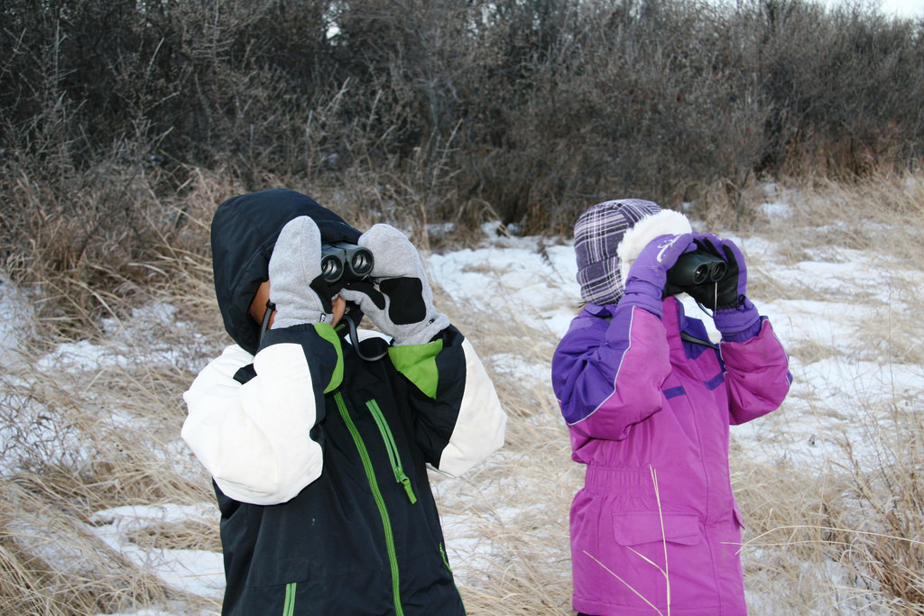聖誕數鳥從1900年持續至今，成為世界上規模最大、歷史最悠久的公民科學活動之一。圖片取自Flickr