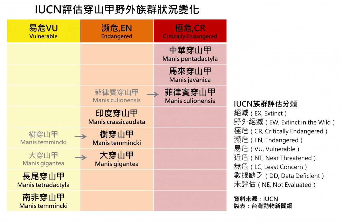 iucn評估穿山甲野外族群狀況變化。