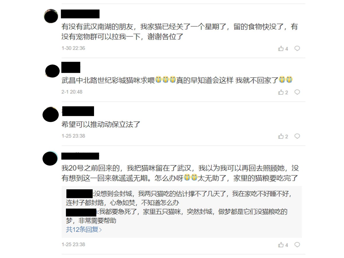 無法返家的飼主心急如焚,在武漢市小動物保護協會的微博上求救。翻攝網路畫面