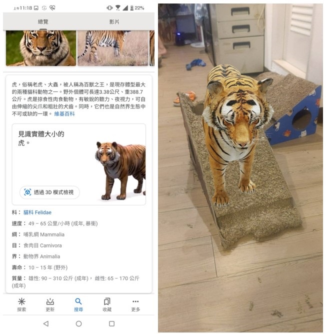 Google利用AR技術幫你把家裡變虛擬動物園。陳璽安/攝