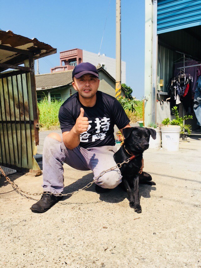 APA仍持續推動絕育經費補助計畫勸募活動，歡迎民眾支持響應。中華民國保護動物協會/提供