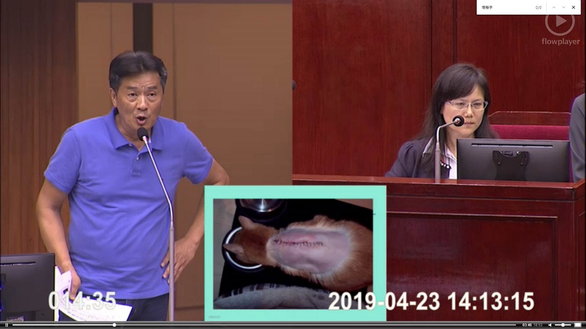 議員楊靜宇表示，狂犬病疫苗中的佐劑還有誘發「貓注射部位肉瘤」（FISS）的風險，會對貓造成致命性影響。翻攝自議會直播網站