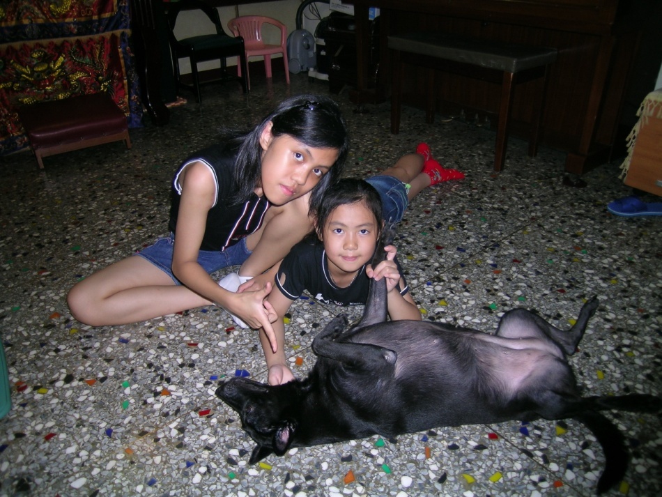 「石黑黑」與飼主石小姐相伴了18年,石小姐可說是與「石黑黑」一同成長。新北市動保處/提供