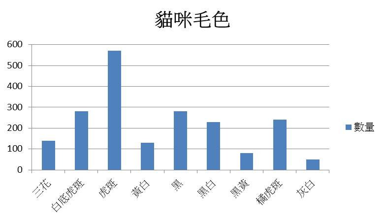 板橋動物之家的貓咪多為米克斯貓，其中以虎斑色、白底虎斑色及黑色貓咪數量最多。新北市動保處/提供