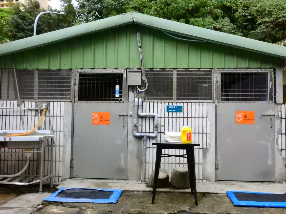 北市動保處提供獨立的寵物專用安置區。台北市動保處/提供