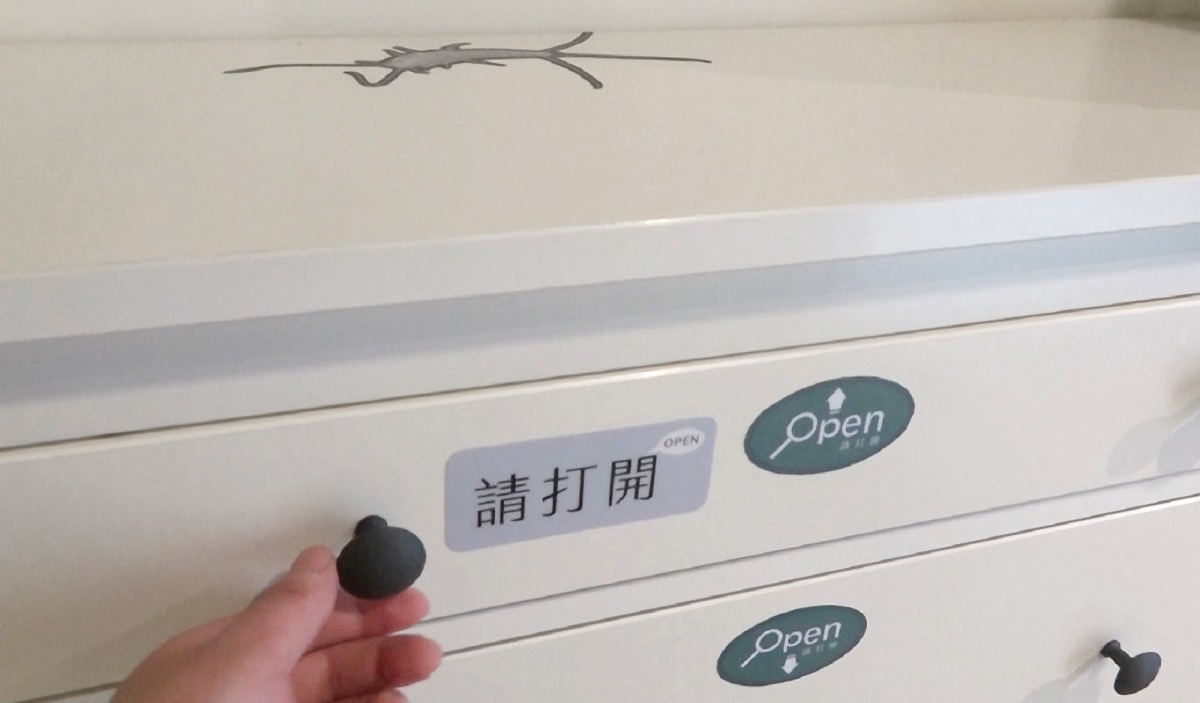 猜猜看,打開櫥櫃你會遇見什麼蟲蟲呢?台北市立動物園/提供