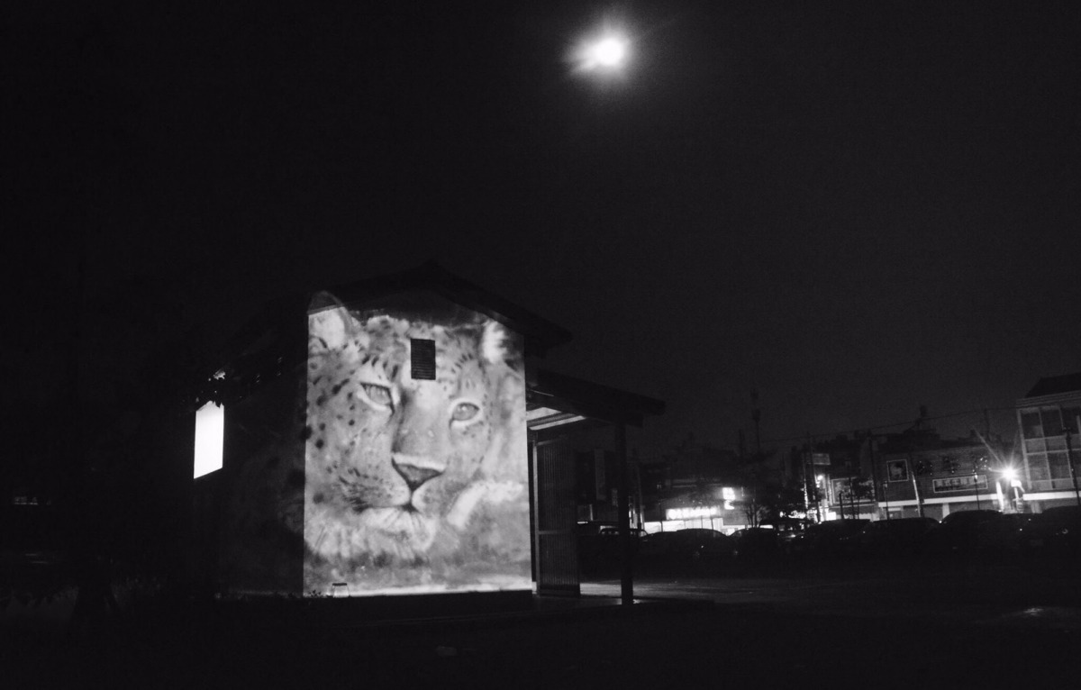 Russ Ronat將與台灣攝影師郭宗德合作，用藝術向大眾推廣環保與保育意識。永續因子策略顧問有限公司/提供