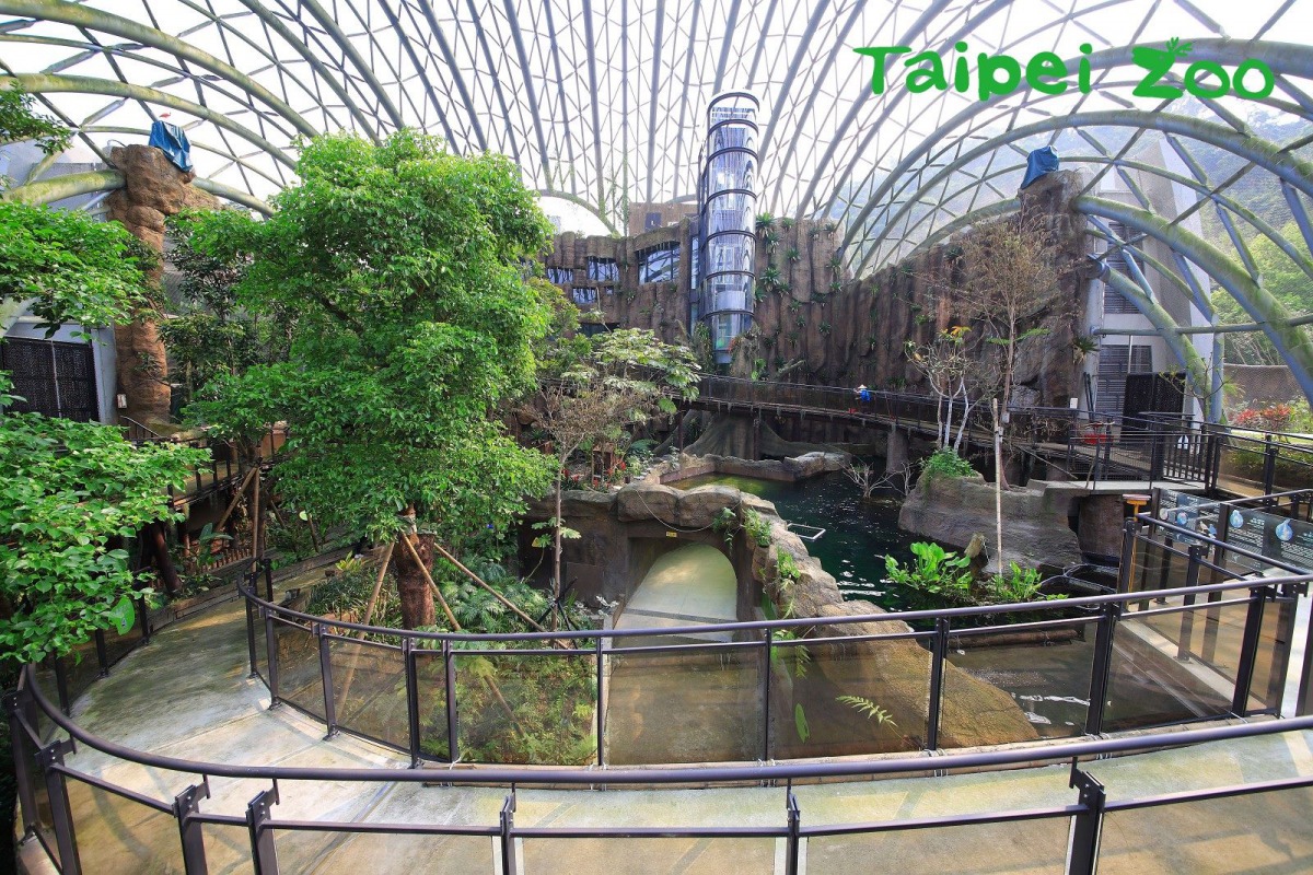 穿山甲館內的水域造景，水溫得保持在攝氏28度上下。台北市立動物園/提供