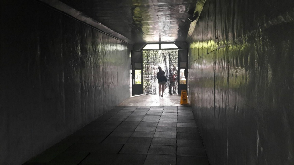 遊客出入「生態鳥園」與「水禽區」都必須經過兩道垂簾，彷彿穿梭於兩個世界。台北市立動物園/提供