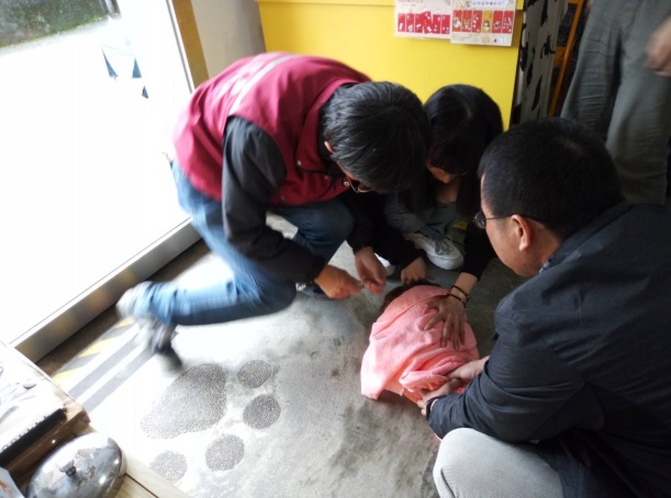 新北市動保處及志工為貓隻施打疫苗。新北市動保處/提供