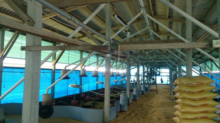 台南市動保處提醒養禽業者多留意帆布施放，防止賊風進入。台南市動保處/提供