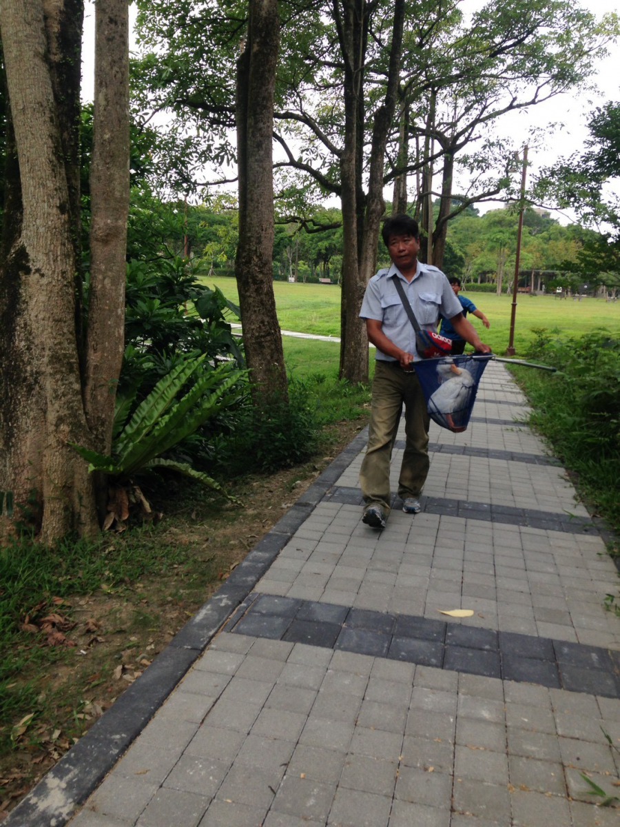 台北市動保處動物救援隊趕赴現場救援受傷鴨隻。台北市動保處/提供