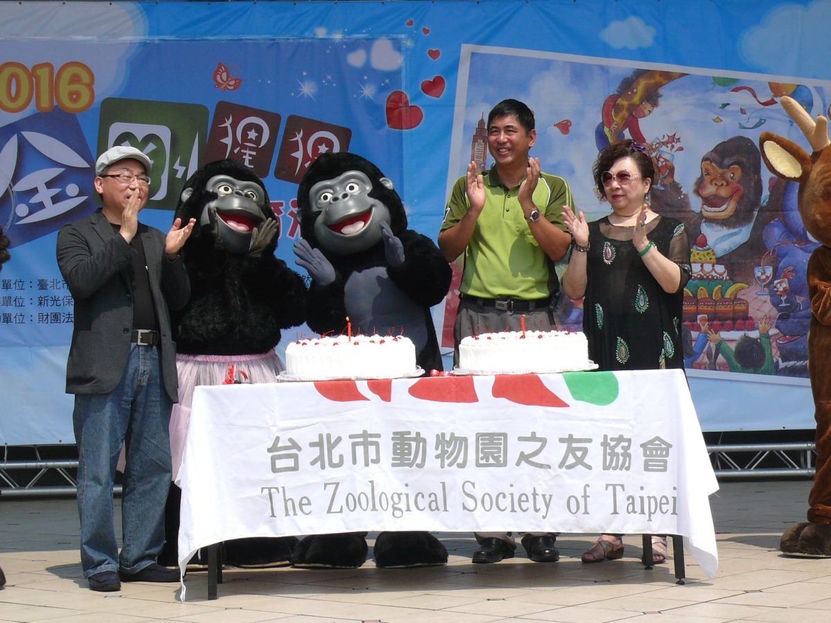 台北市立動物園與台北市動物園之友協會每年固定為金剛猩猩「寶寶」舉辦慶生派對。台北市立動物園/提供