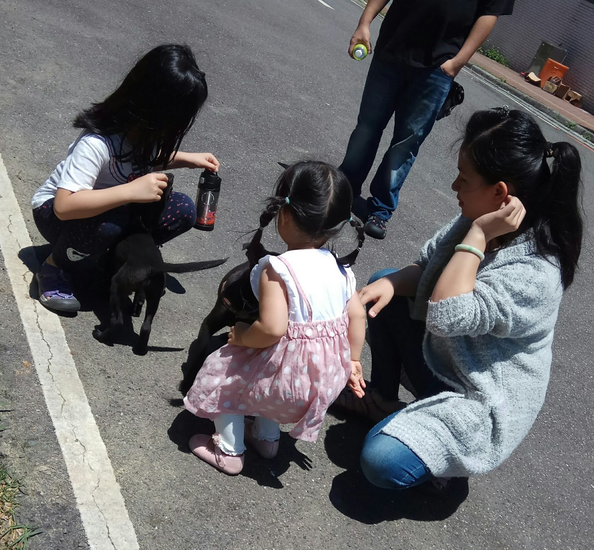 剛任職的「平平」、「安安」很受小朋友喜愛。新北市動保處/提供