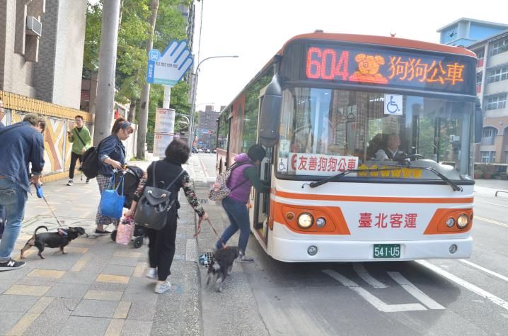 狗狗公車來了,狗狗們奮地跳上公車。新北市動保處/提供