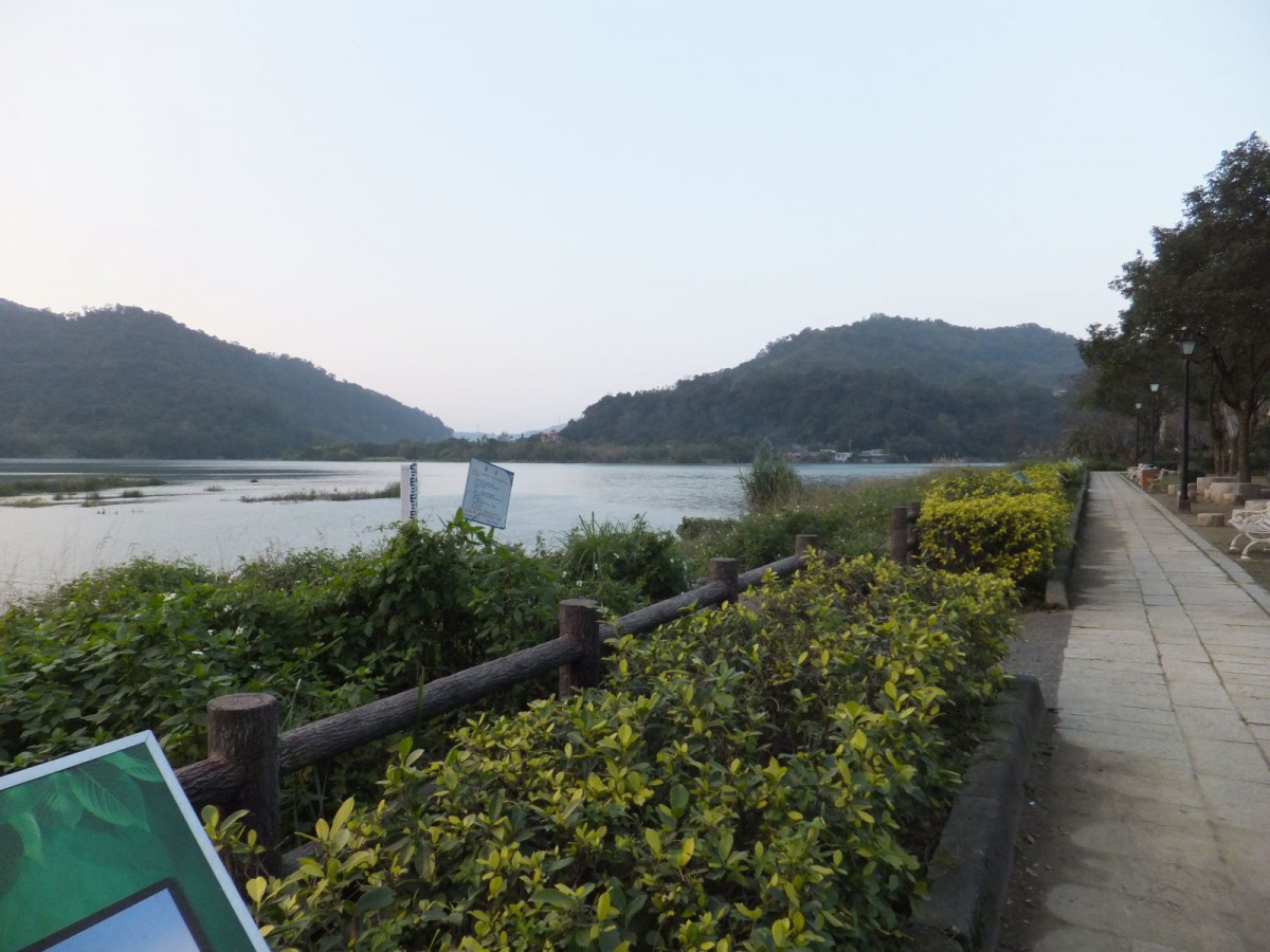 河濱本來就是原生龜類的棲息環境。新北市動保處/提供